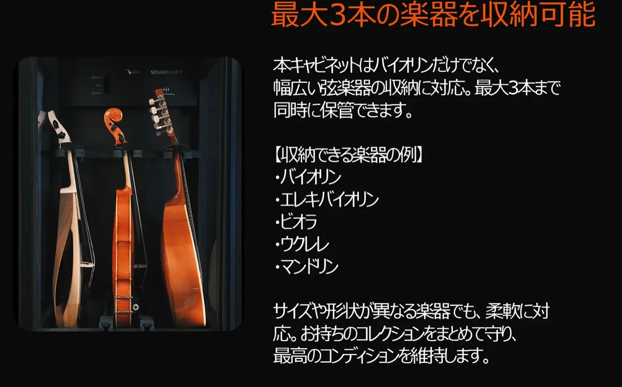 VC-2 特徴