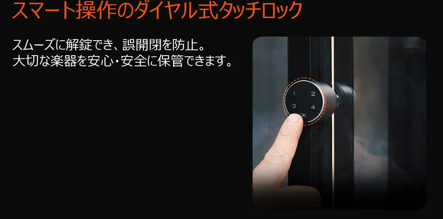 VC-2 特徴