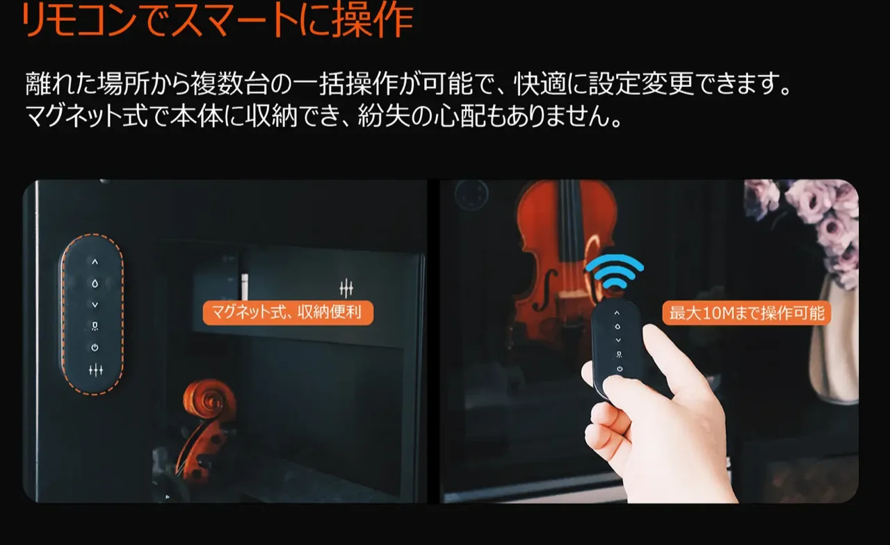 VC-2 特徴