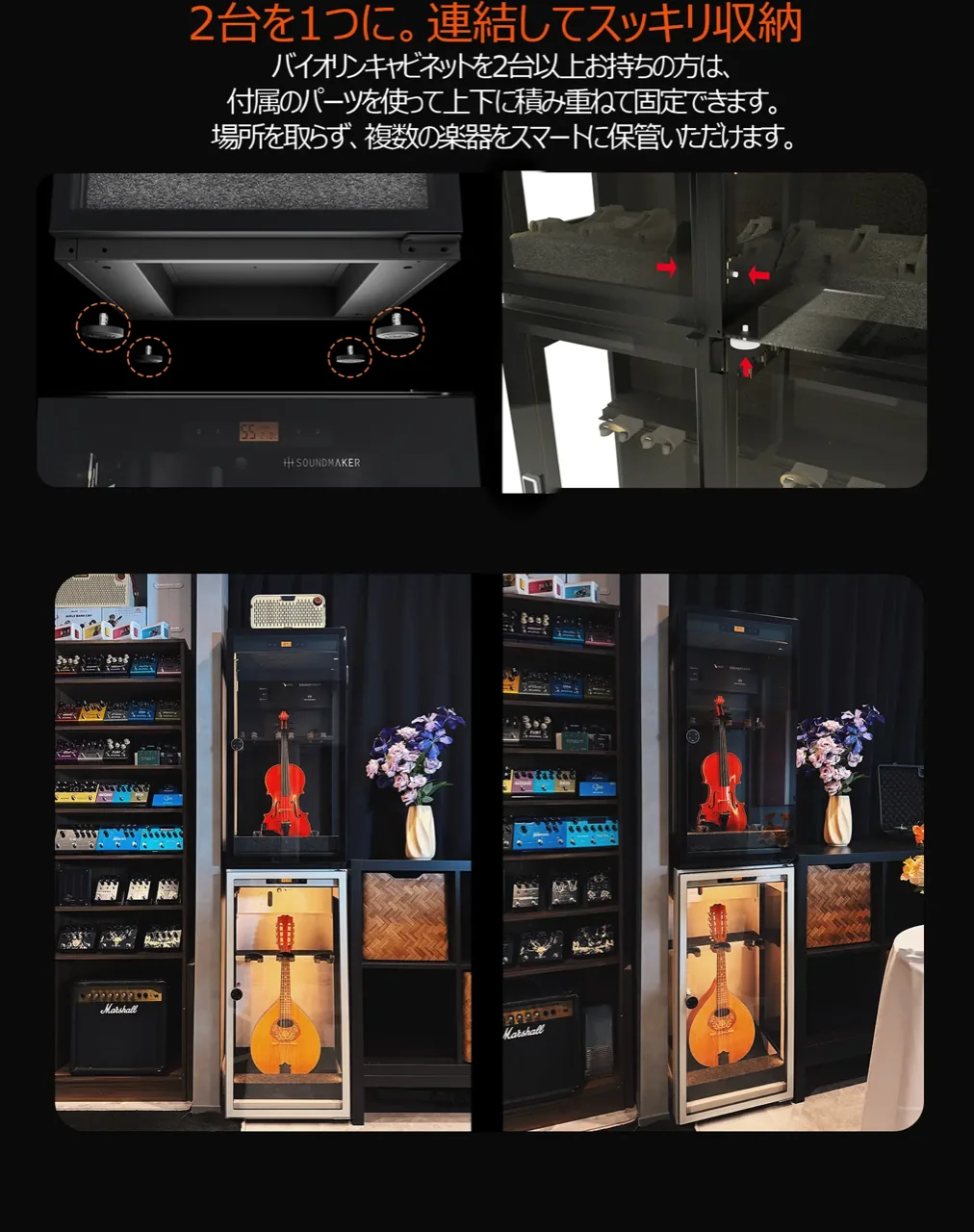 VC-2 特徴