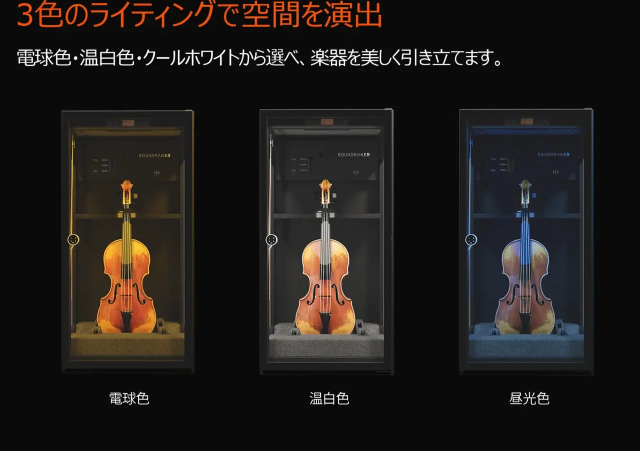 VC-2 特徴